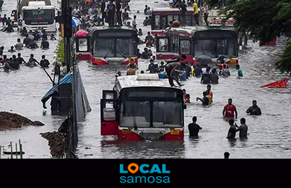 Local Samosa Article